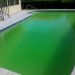 Green Pool Water? Here Is What You Need To Do To Get Your Pool Water Back On Track!