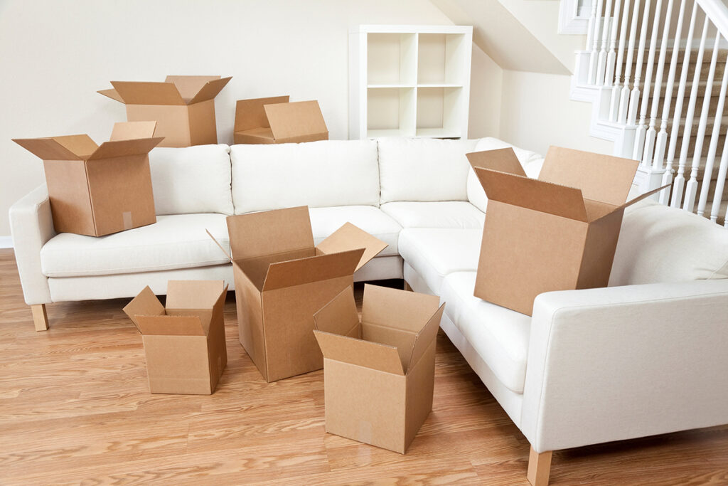 Why You Should Hire Professional Furniture Removal Services?